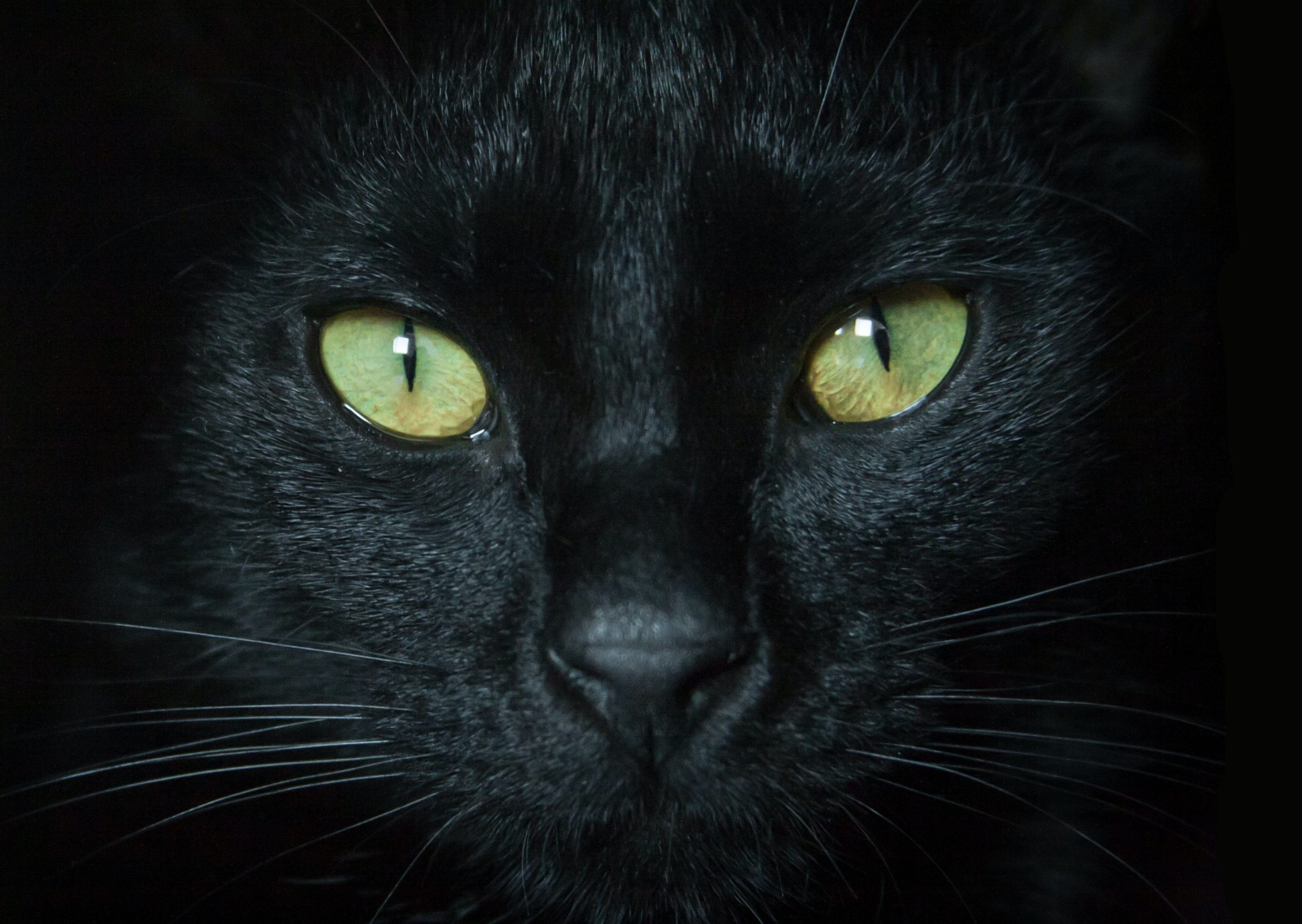 adel-grober-GqNmg3BRFXA-unsplash