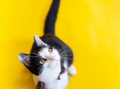alicja-gancarz-hoc9ttceigo-unsplash-696x1044