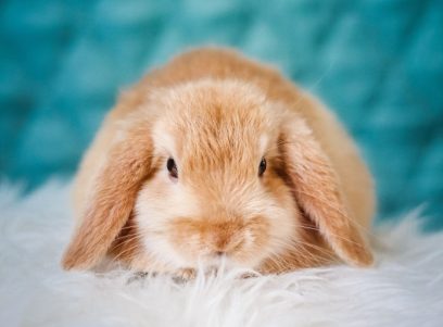 erik-jan-leusink-sdx4kwiba-unsplash-696x1044