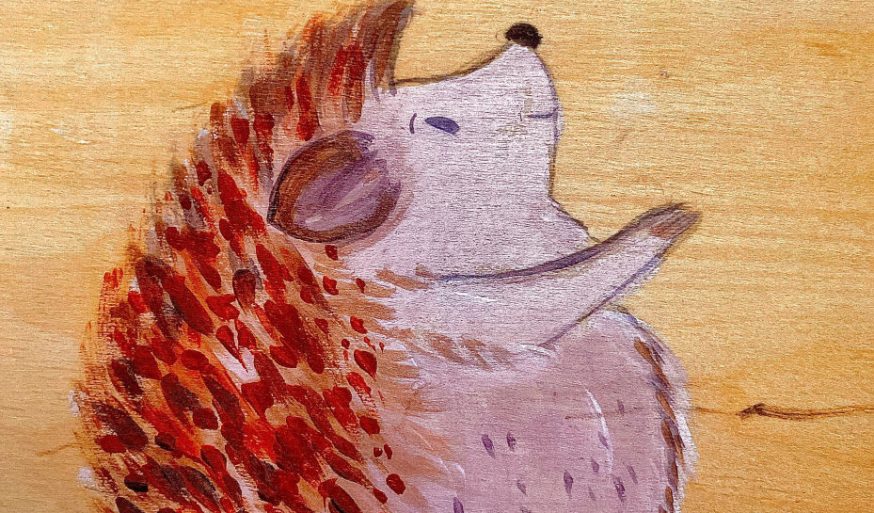 hedgehodi-929x1239