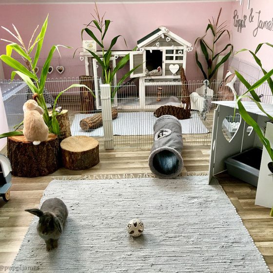 indoorhousingeg3-1000x750